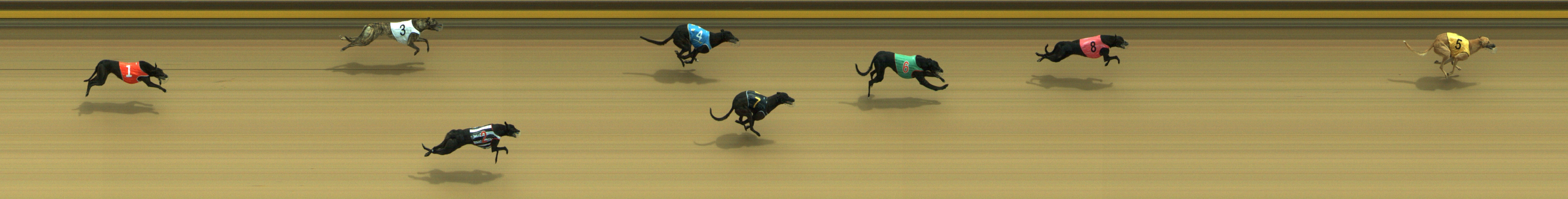 Race result finish photo